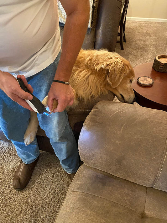 Why Vets Recommend Nail Grinders Over Traditional Clippers