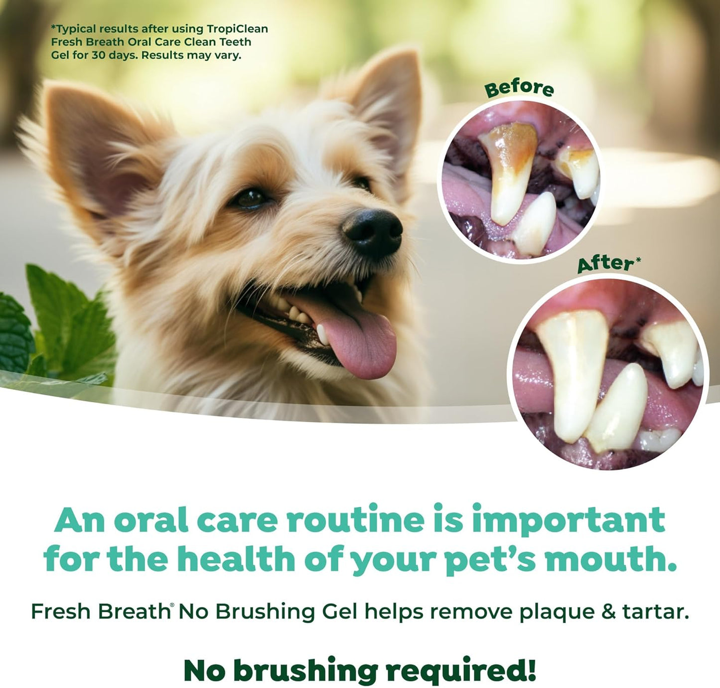 Fresh Breath Dog Toothpaste for Teeth Cleaning, Breath Freshener, Easy Plaque & Tartar Remover Gel, No Toothbrush Needed, Peanut Butter, 4Oz.