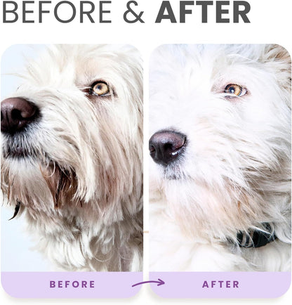 PRO Formula Ultra Brightening Dog Shampoo - Professional Whitening & Long-Lasting Odor Eliminator - Removes Stains & Discoloration, Dry Skin & Itch Relief with Aloe & Provitamin B5 (16Oz)