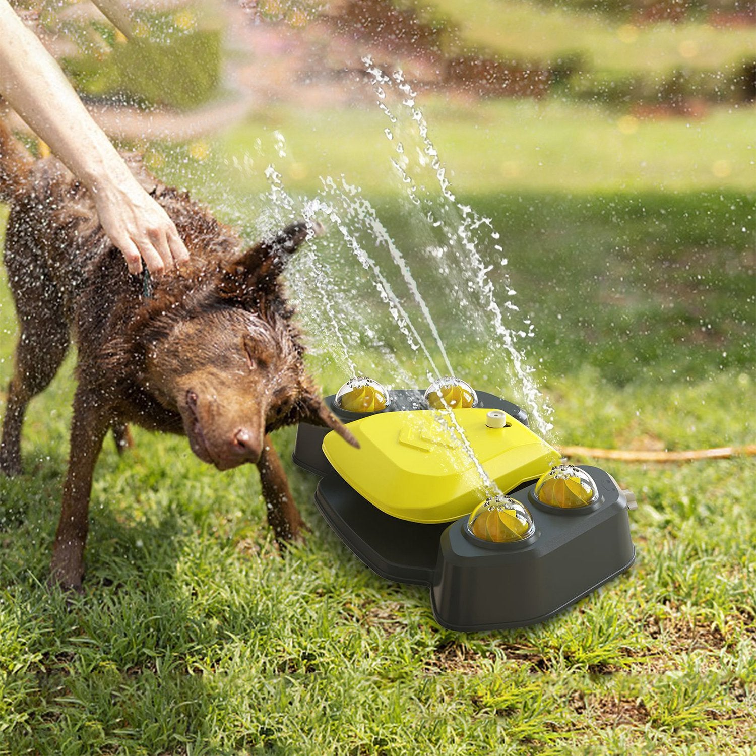Blue-Yellow Color Options -- 1Pc Dog Water Fountain Multifunctional Automatic Pet Water Dispenser Outdoor Step-On Activated Sprinkler for Drinking Shower Fun